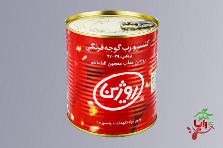 خرید رب گوجه آسان بازشوی روژین + بهترین قیمت