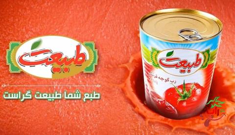 خرید رب گوجه 800گرمی طبیعت با قیمت استثنایی