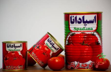 خرید جدیدترین انواع رب گوجه فرنگی اسپادانا