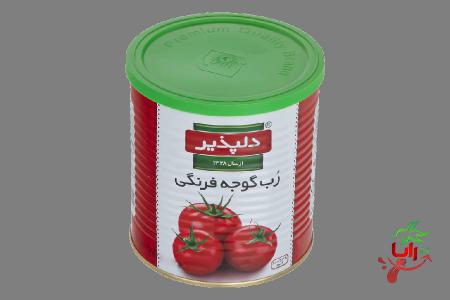 رب گوجه 400گرمی دلپذیر | خرید با قیمت ارزان